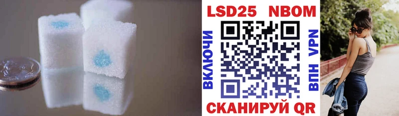 LSD-25 экстази кислота  Болотное 