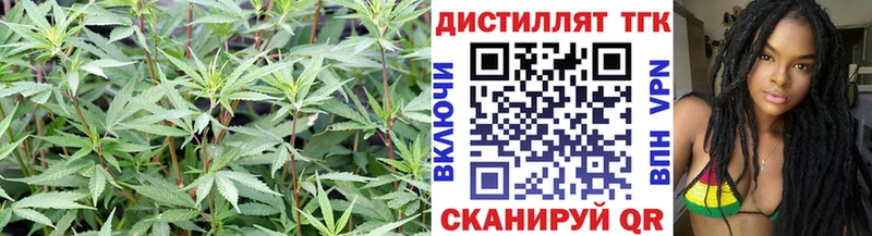 где можно купить наркотик  Болотное  Дистиллят ТГК Wax 